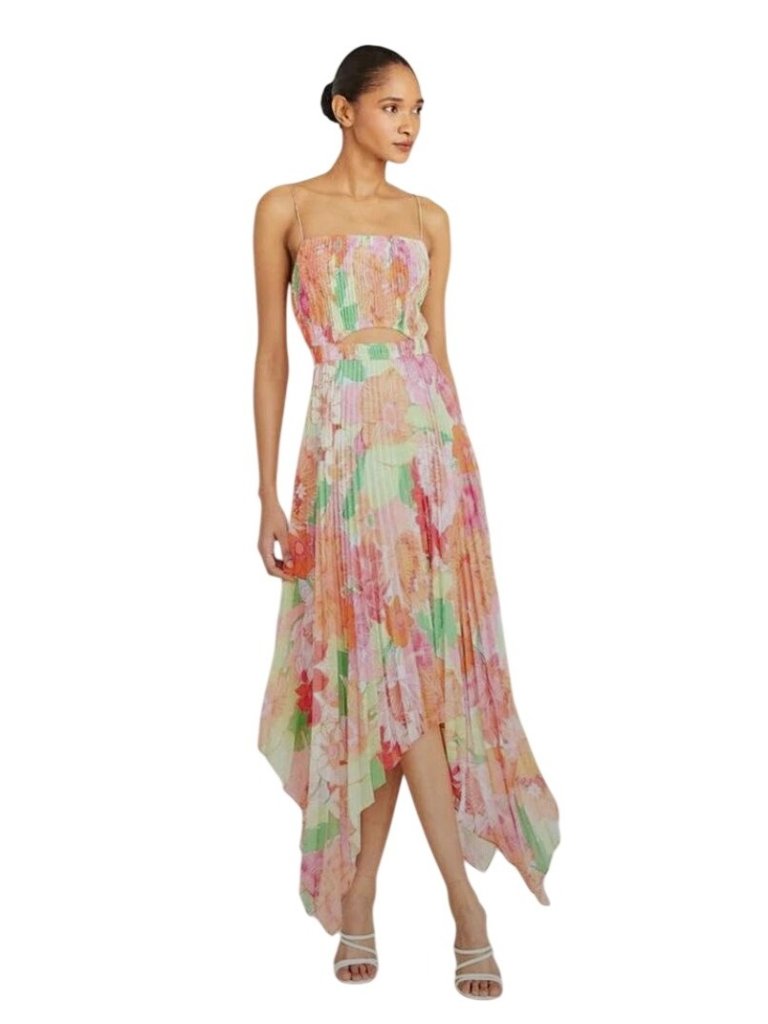 Amur Pierce Pleated Hem Dress In Tropical Floral Nwt - Size 4